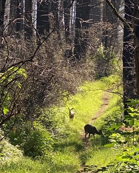 Renew and Recharge BEFORE the End of the Year