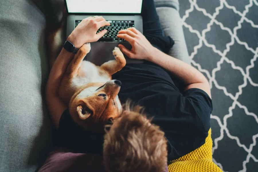 Working From Home (Pt. 2)